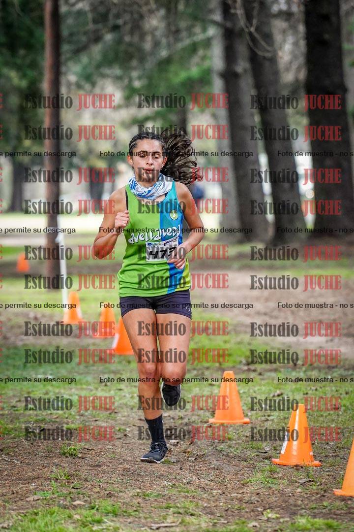 Fotos en el circuito