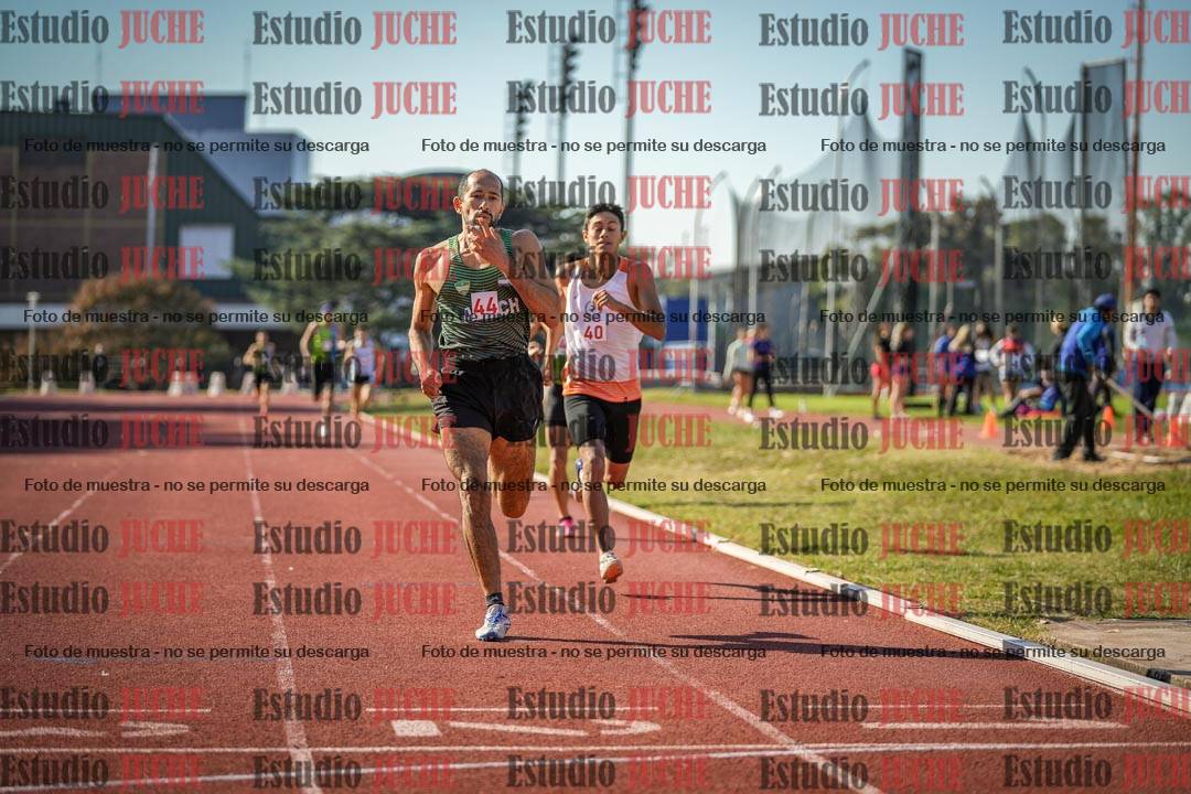 Fotos de los 800 m llanos de varones