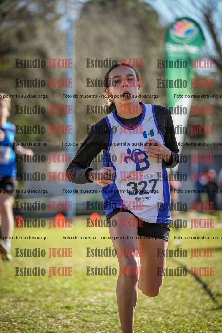 Fotos de la llegada del cross de 1500 m