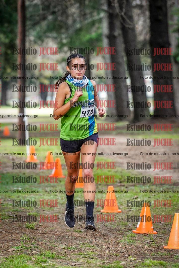 Fotos en el circuito