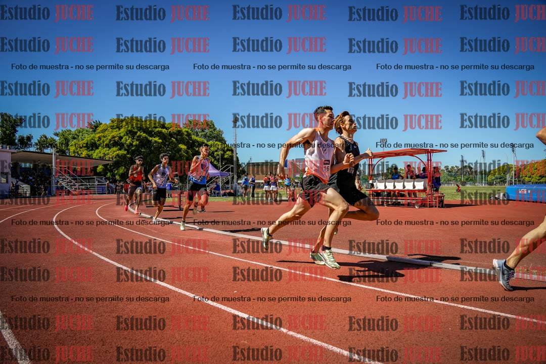 Fotos de los 800 m llanos de varones
