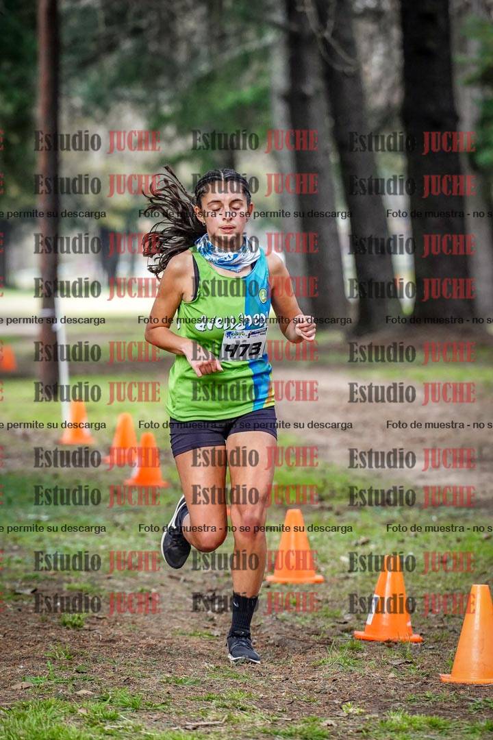 Fotos en el circuito