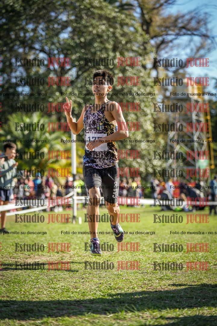 Fotos de la llegada del cross de 2000 m