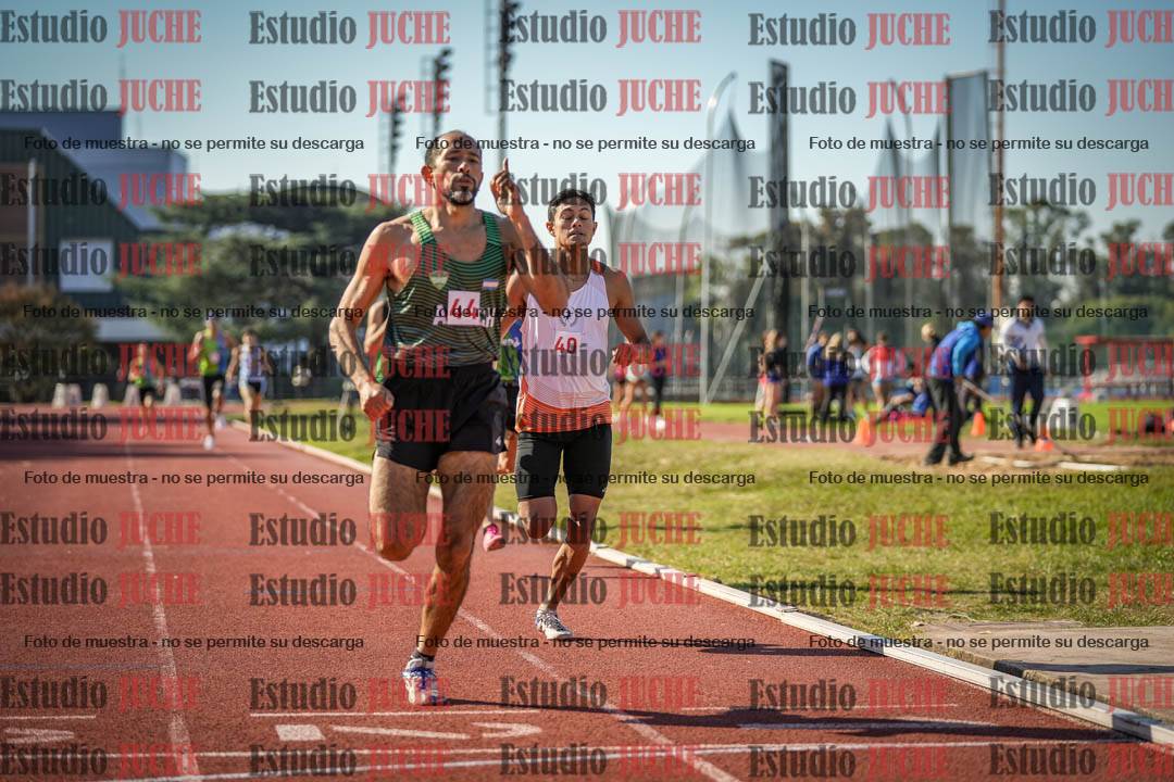 Fotos de los 800 m llanos de varones