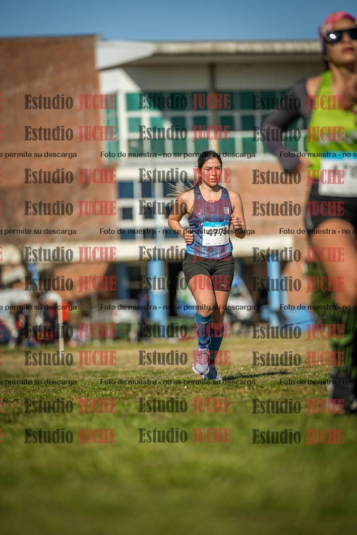 Fotos en el circuito