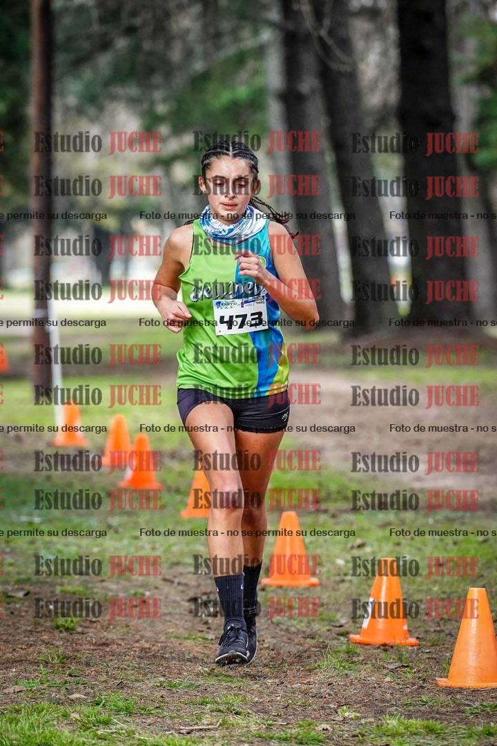Fotos en el circuito