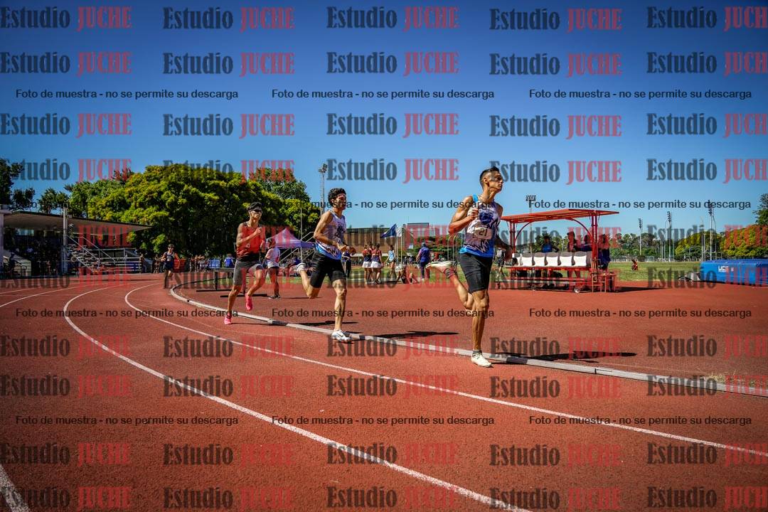 Fotos de los 800 m llanos de varones