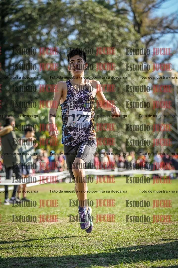 Fotos de la llegada del cross de 2000 m