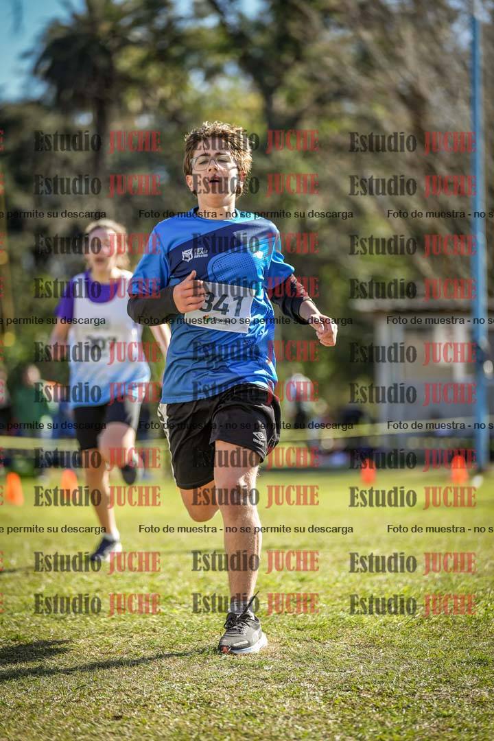Fotos de la llegada del cross de 1500 m