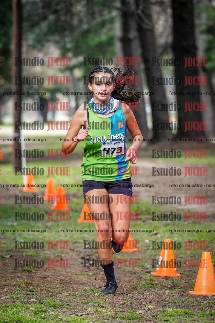Fotos en el circuito