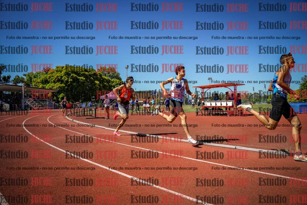 Fotos de los 800 m llanos de varones