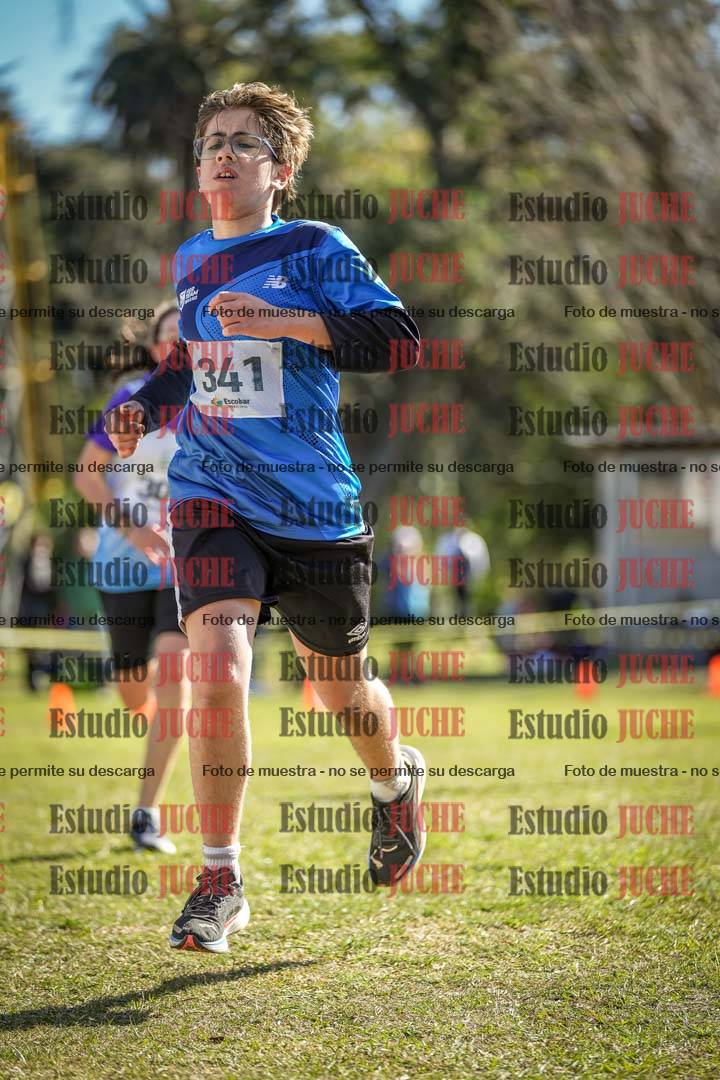 Fotos de la llegada del cross de 1500 m