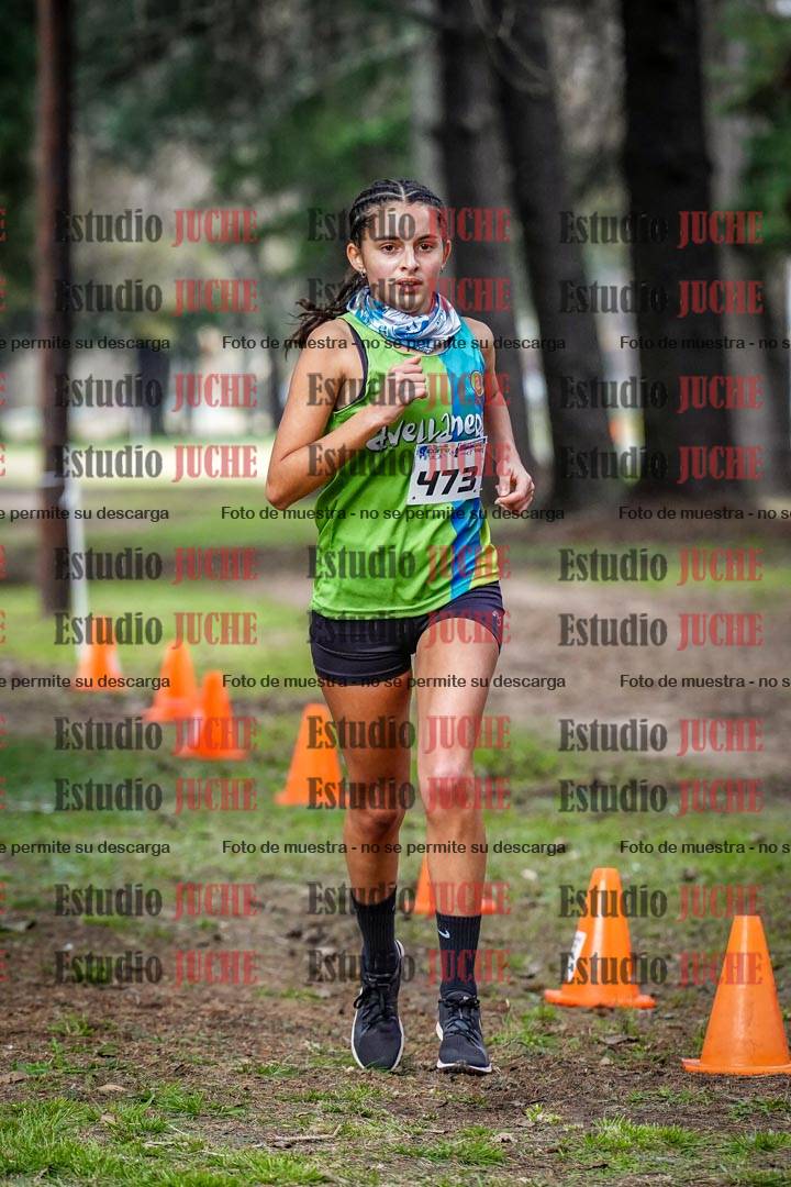 Fotos en el circuito