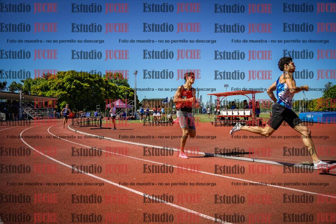 Fotos de los 800 m llanos de varones