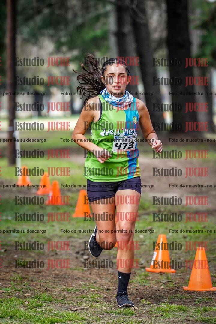 Fotos en el circuito