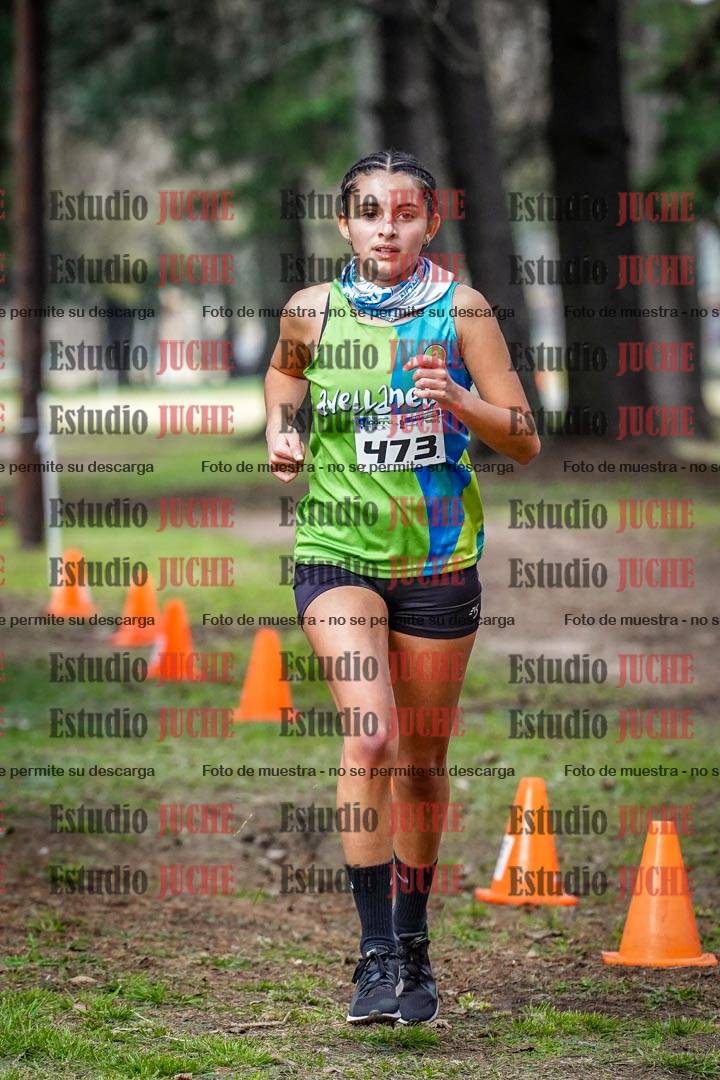 Fotos en el circuito