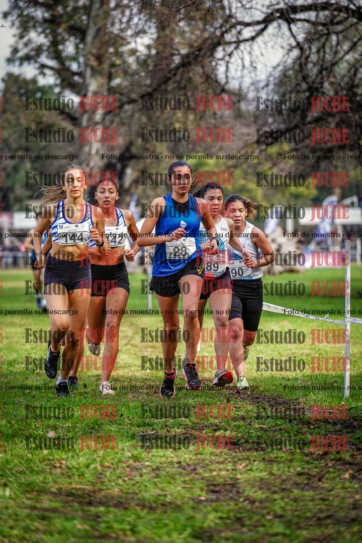 Fotos en el circuito