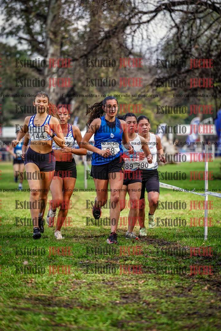 Fotos en el circuito