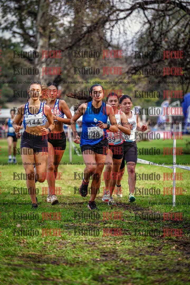 Fotos en el circuito