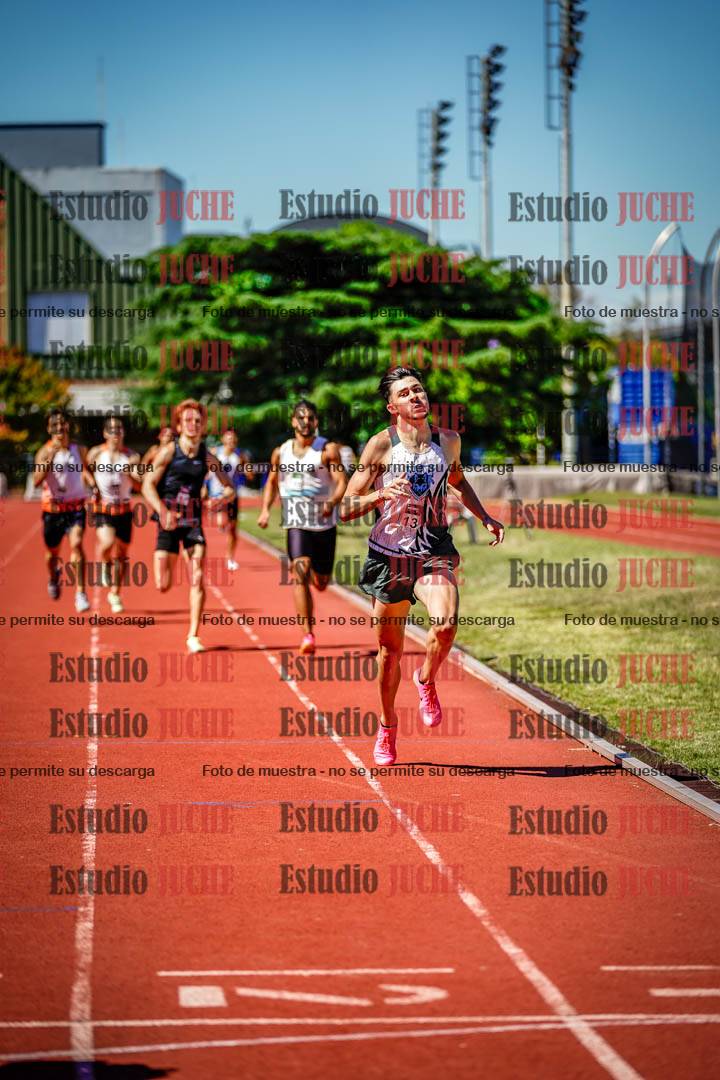 Fotos de los 800 m llanos de varones