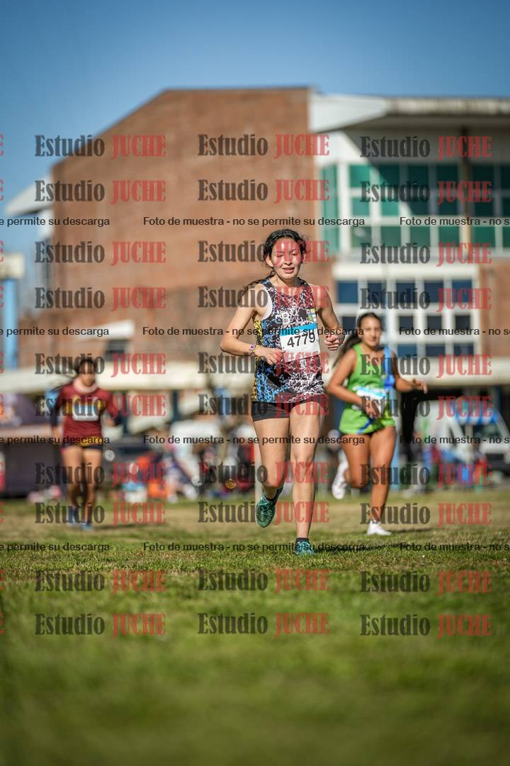 Fotos en el circuito