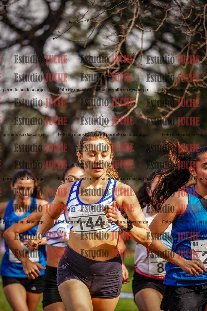 Fotos en el circuito