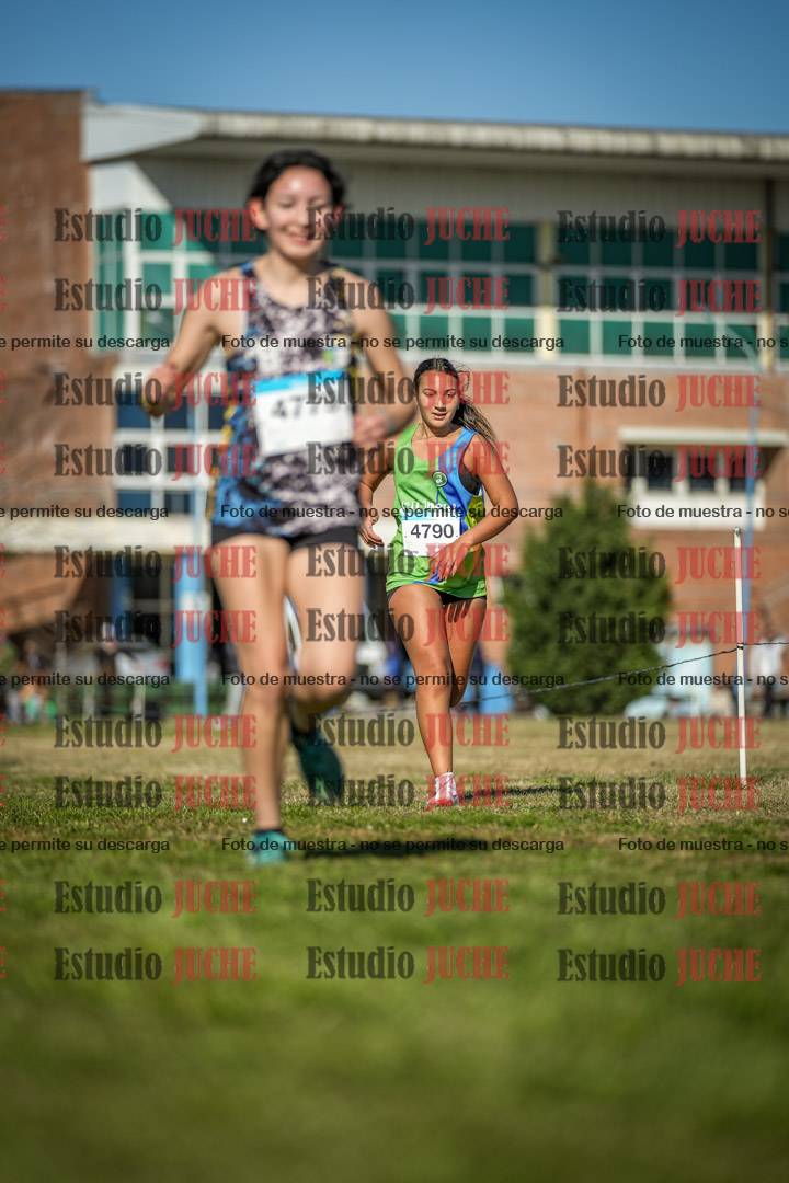 Fotos en el circuito