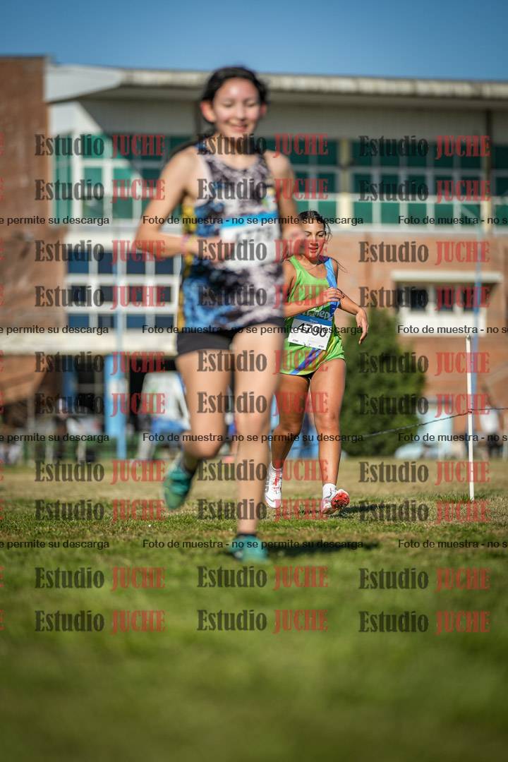 Fotos en el circuito