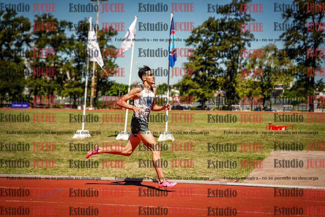 Fotos de los 800 m llanos de varones