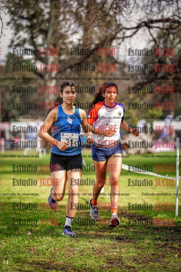 Fotos en el circuito