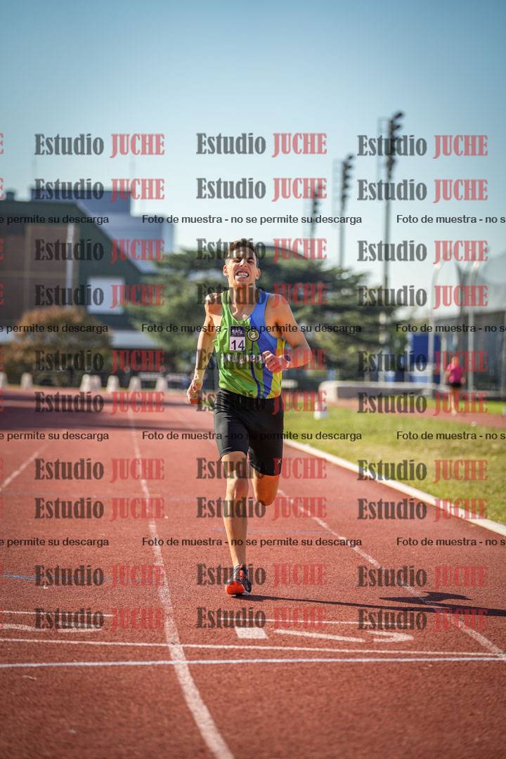Fotos de los 800 m llanos de varones