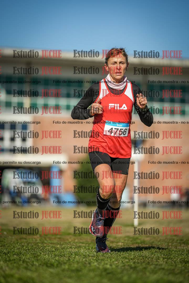Fotos en el circuito