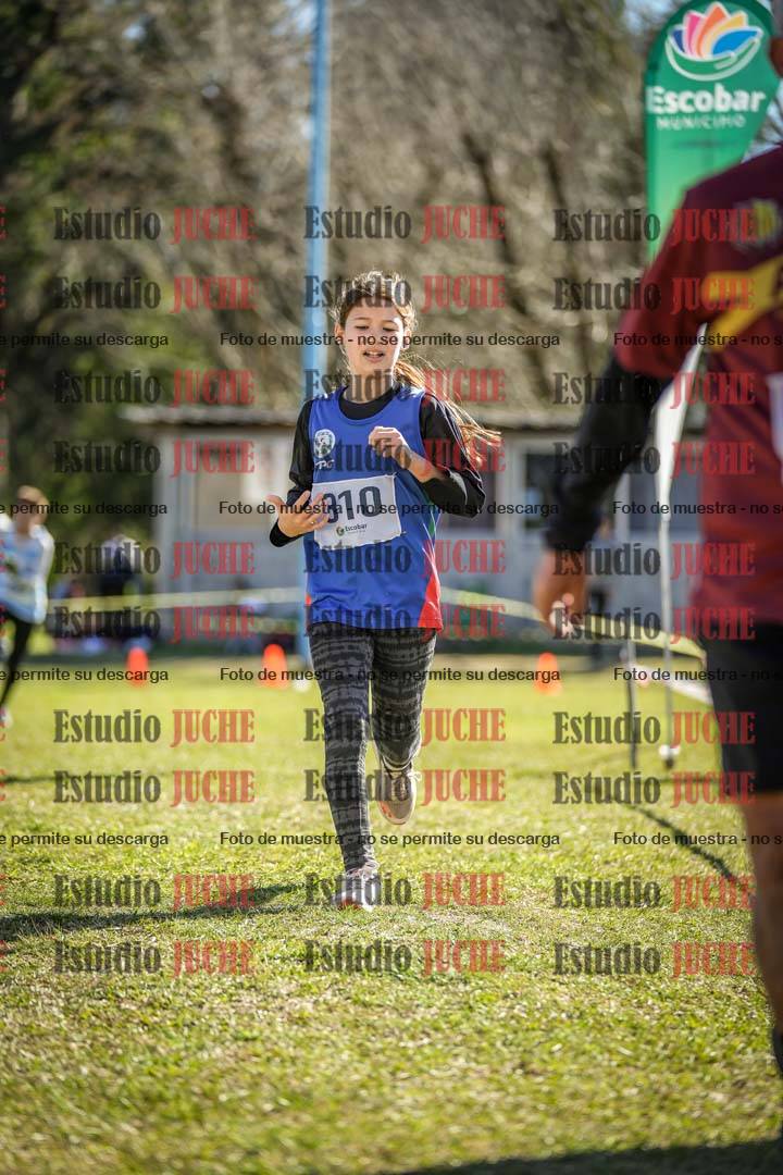 Fotos de la llegada del cross de 1500 m
