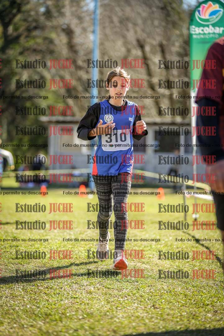 Fotos de la llegada del cross de 1500 m