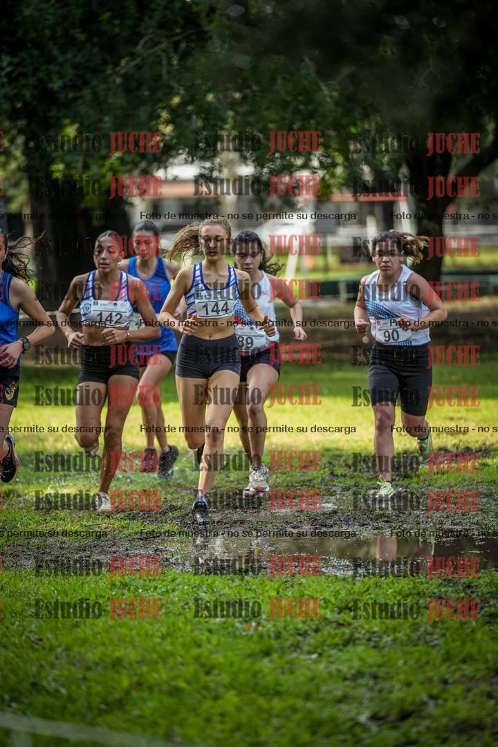 Fotos en el circuito
