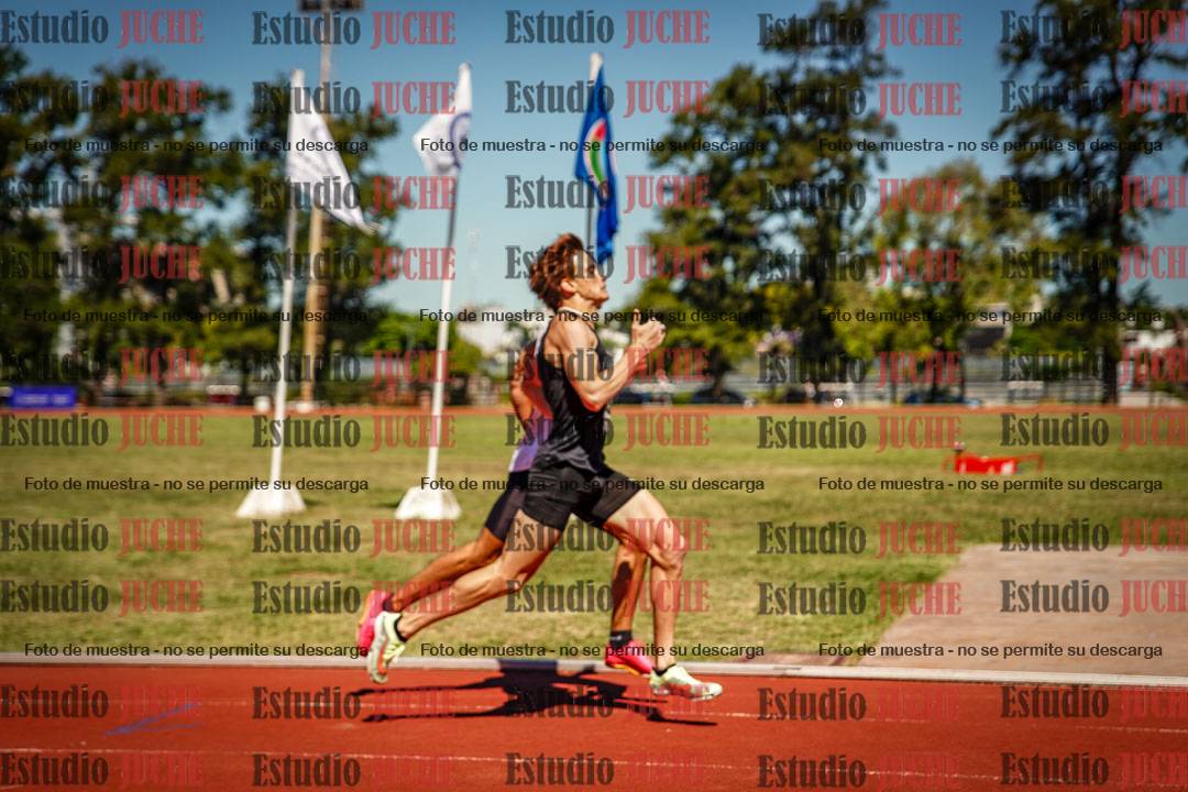 Fotos de los 800 m llanos de varones