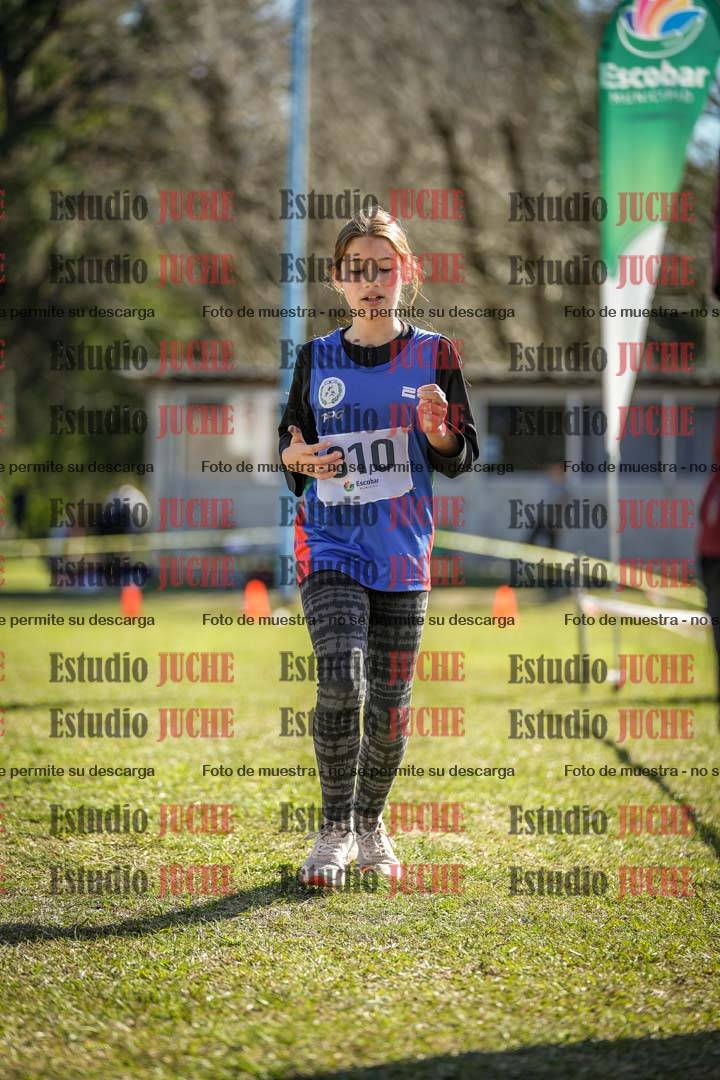 Fotos de la llegada del cross de 1500 m