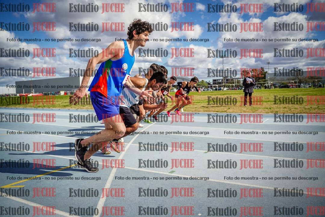 Fotos de los 5000 m llanos de varones