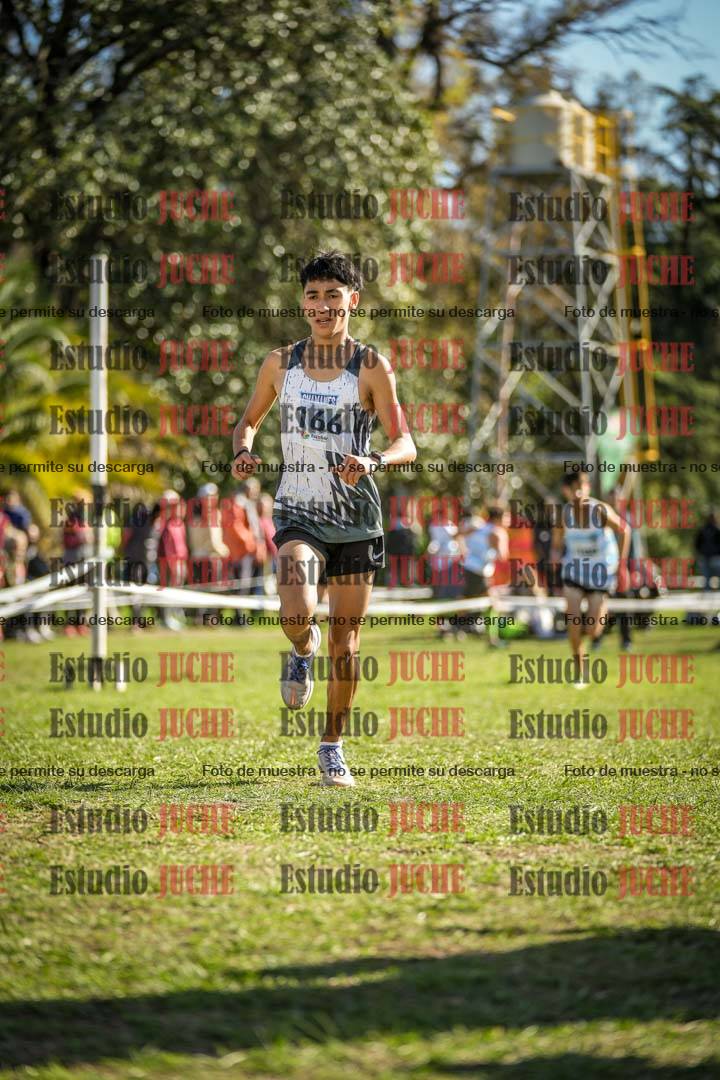 Fotos de la llegada del cross de 2000 m
