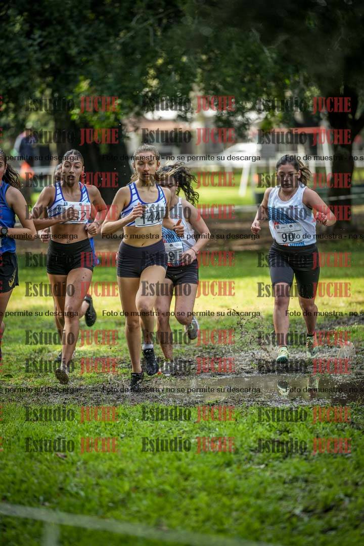 Fotos en el circuito