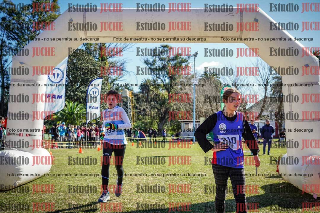 Fotos de la llegada del cross de 1500 m