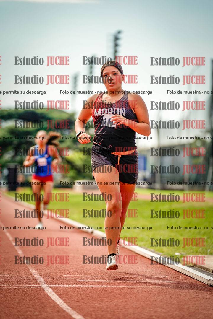 Fotos de los 800 m llanos de mujeres
