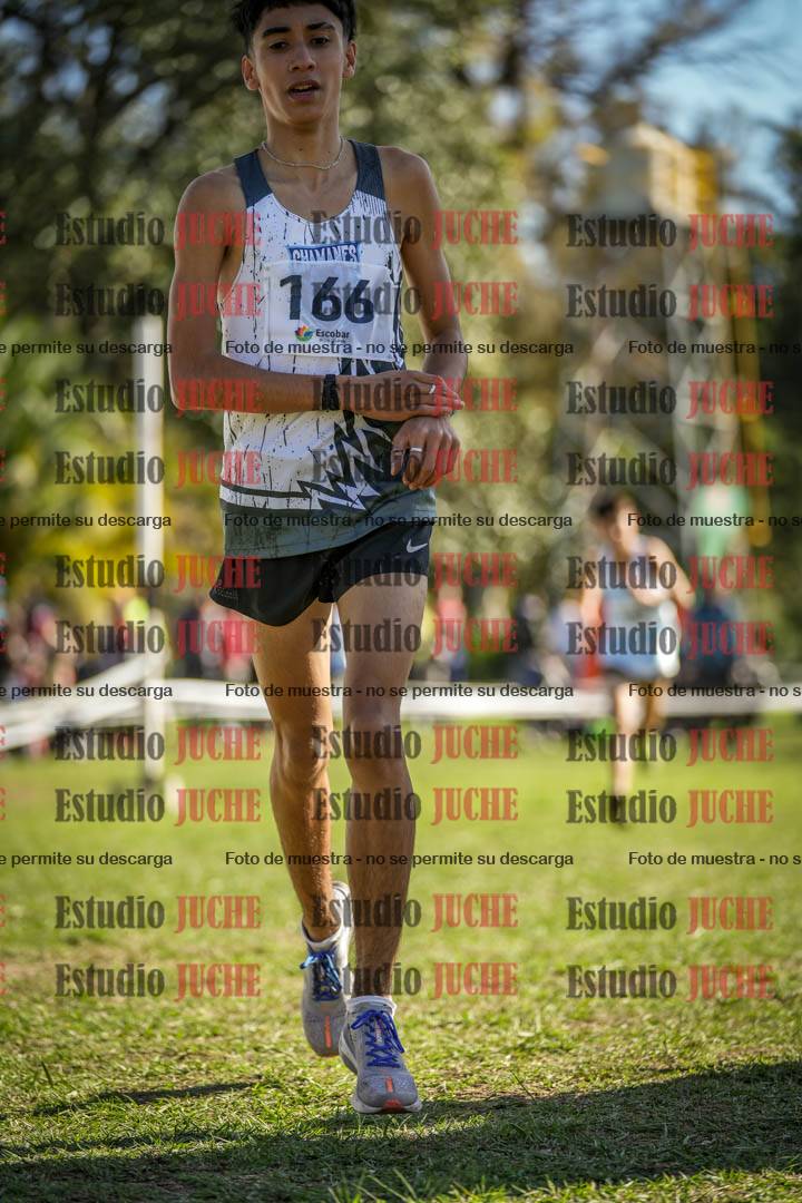 Fotos de la llegada del cross de 2000 m