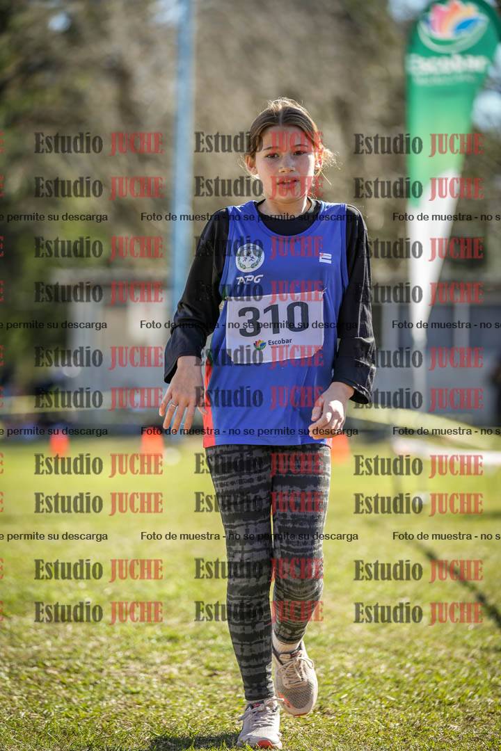 Fotos de la llegada del cross de 1500 m