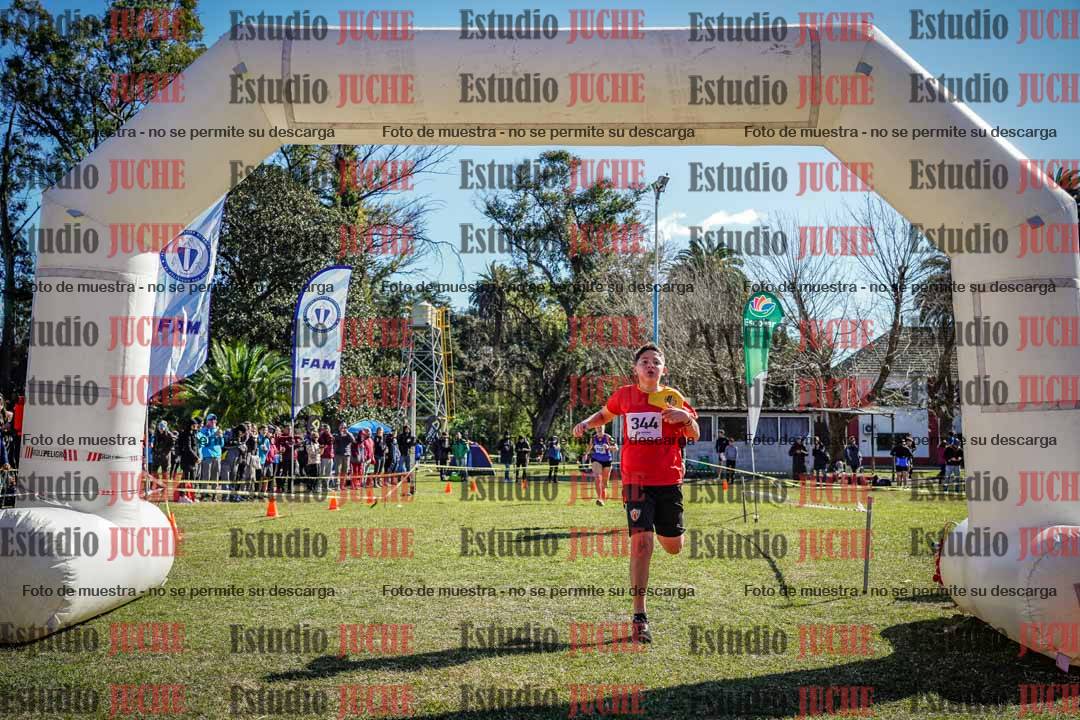 Fotos de la llegada del cross de 1500 m