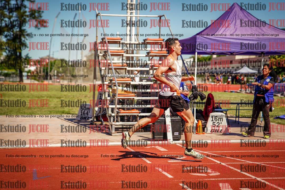 Fotos de los 800 m llanos de varones
