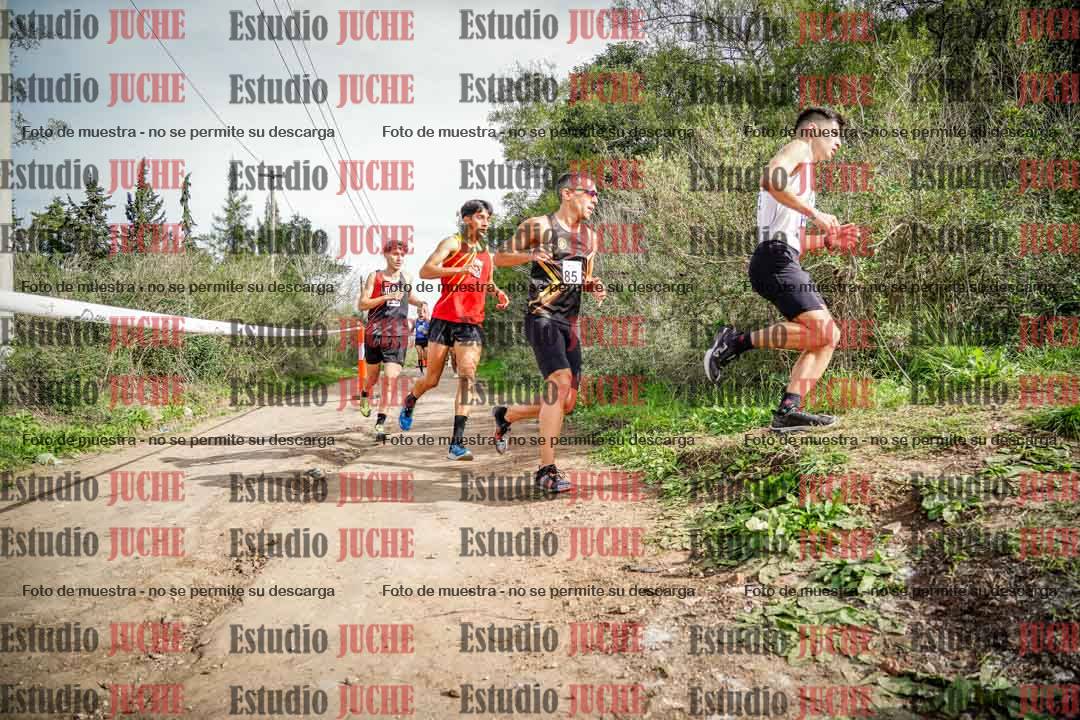 Fotos en el circuito