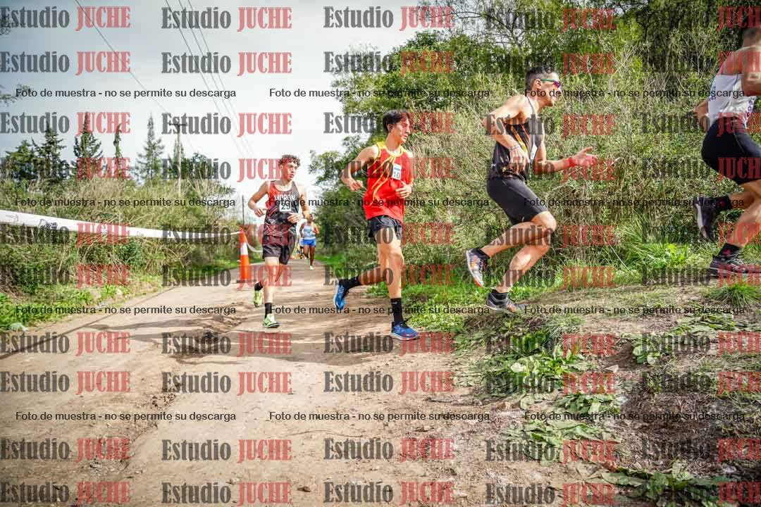 Fotos en el circuito