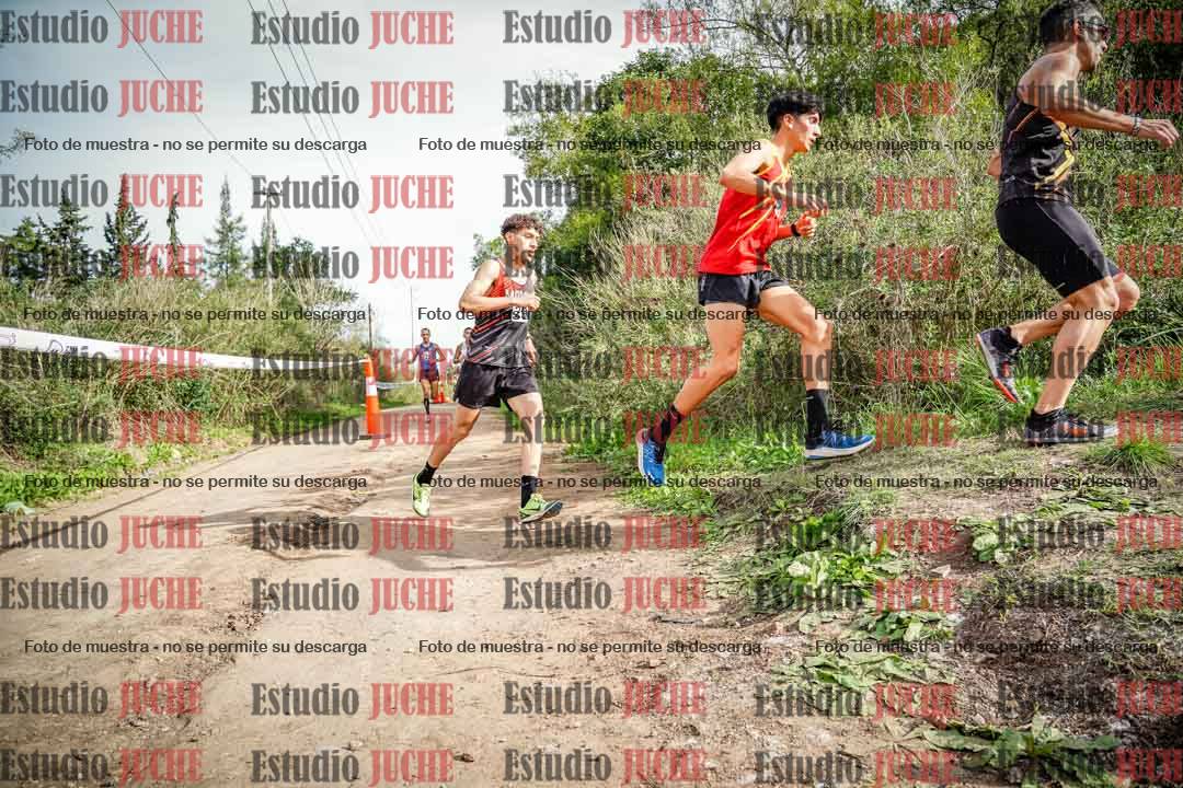 Fotos en el circuito