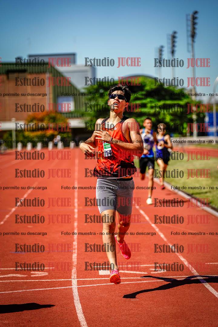 Fotos de los 800 m llanos de varones